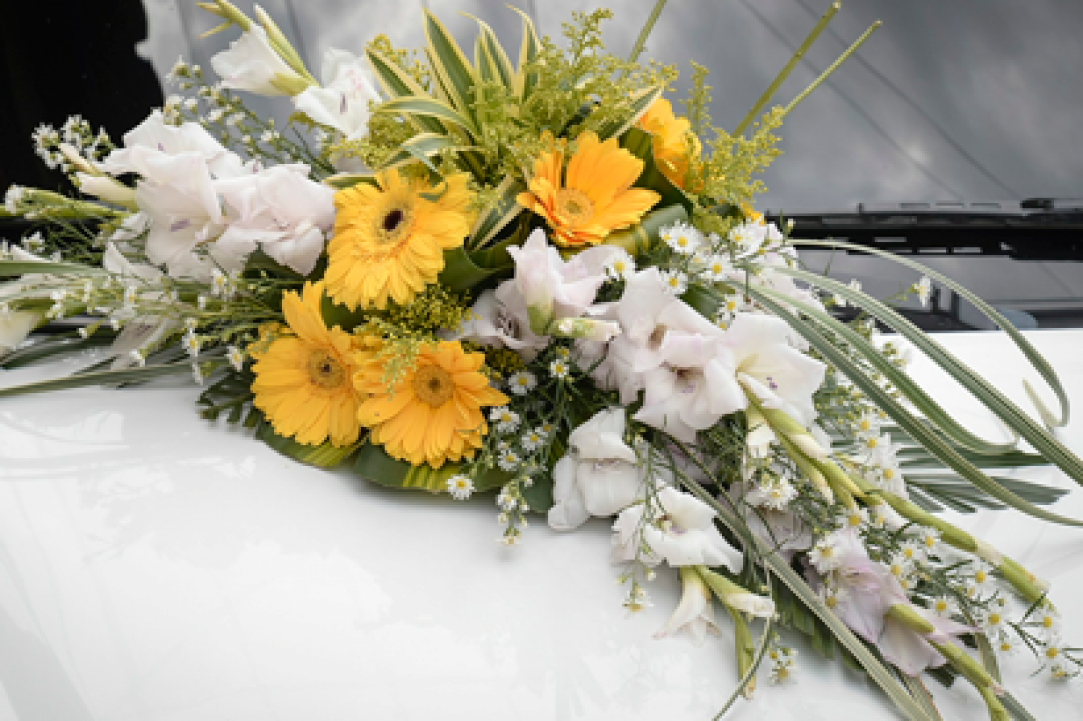 Interview with the owners of Arocaria Flower Shop in Ayia Napa