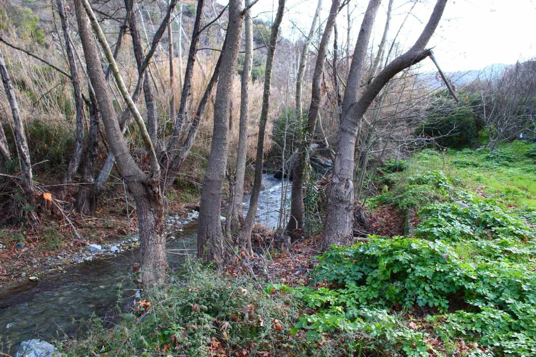 Bridge of Dierona