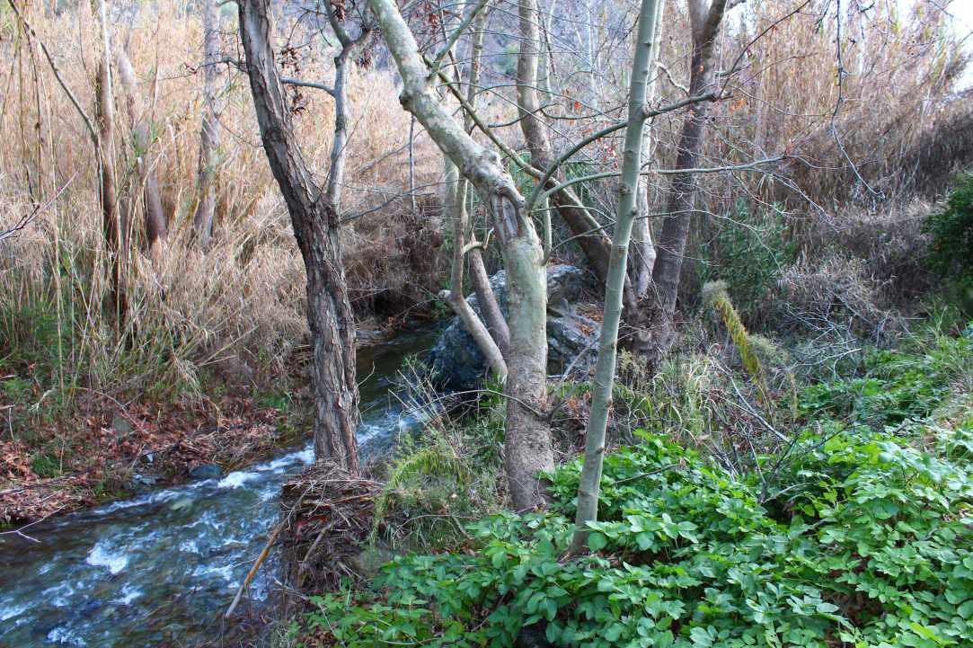Bridge of Dierona