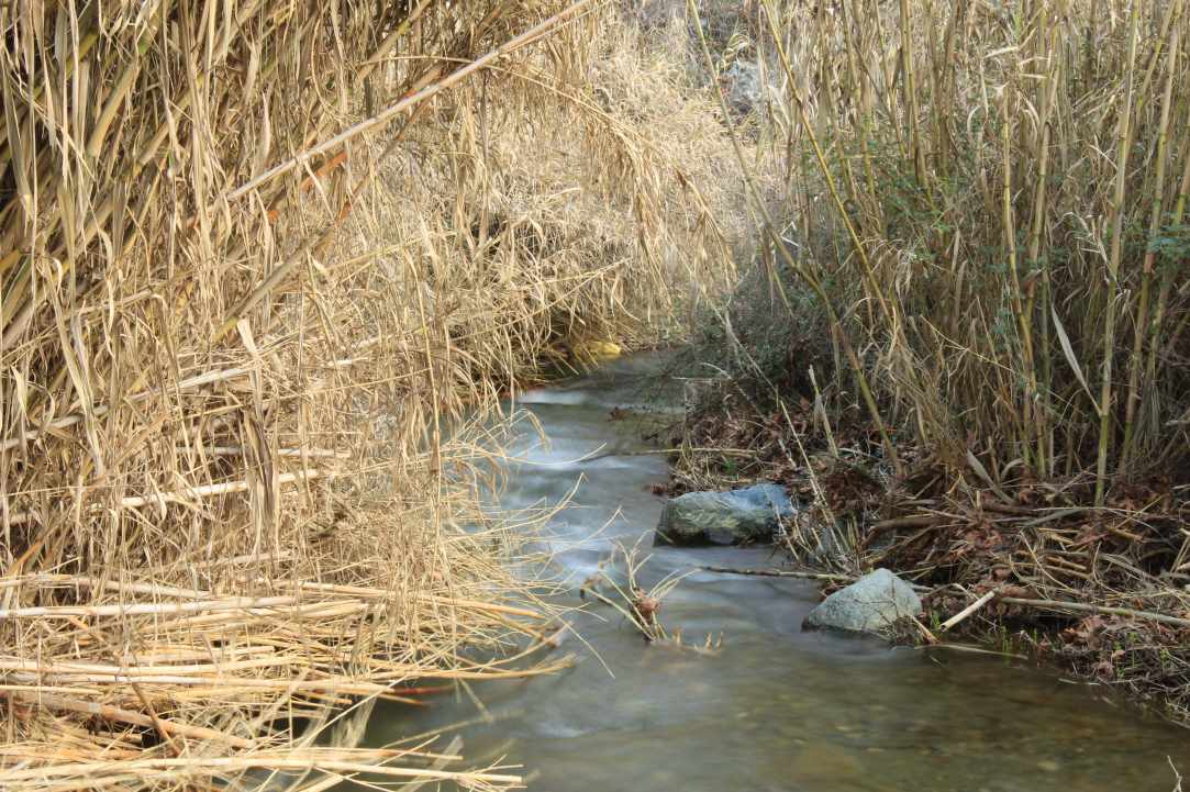 Bridge of Dierona
