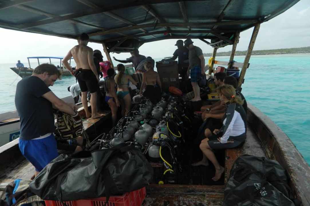 Fun Dive