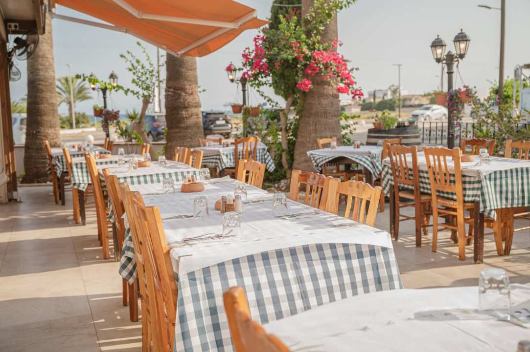 A Taste of Cyprus That Feels Like Home