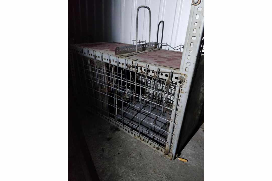 Animals abuse at a kebab house gallery image 3