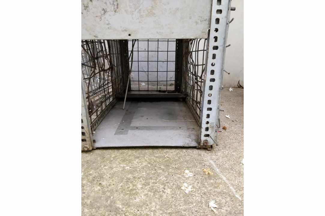 Animals abuse at a kebab house gallery image 2