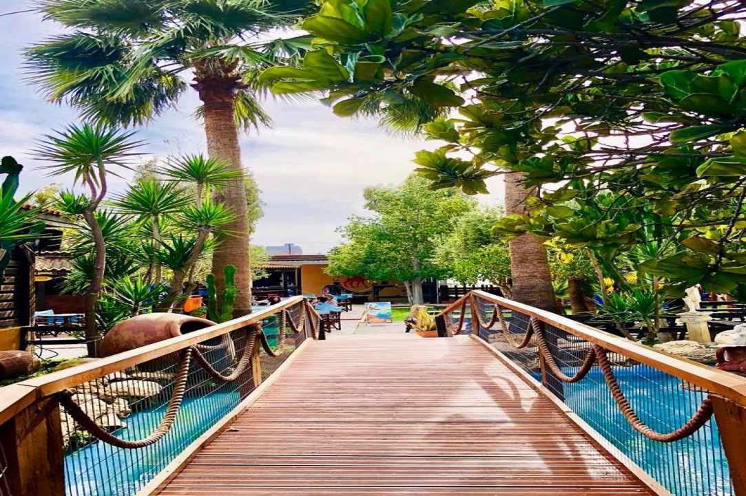Η Cyprus Alive προτείνει εξόρμηση...στο Μαζωτό