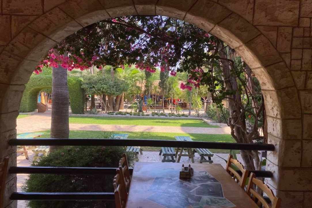 Η Cyprus Alive προτείνει εξόρμηση...στο Μαζωτό
