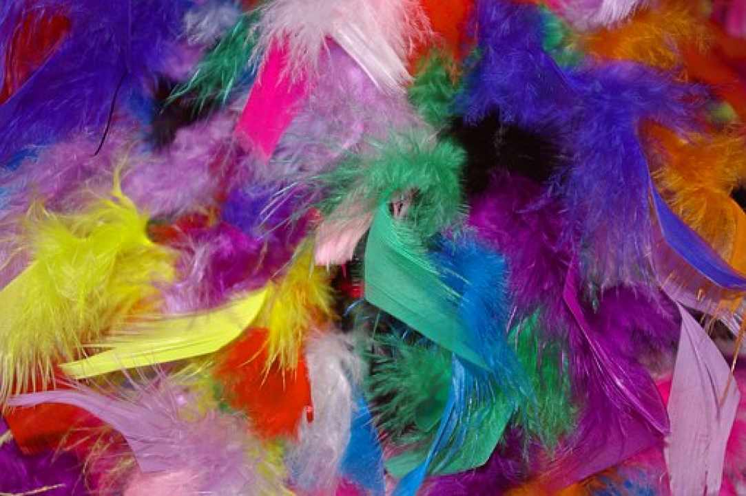 Carnival 2017