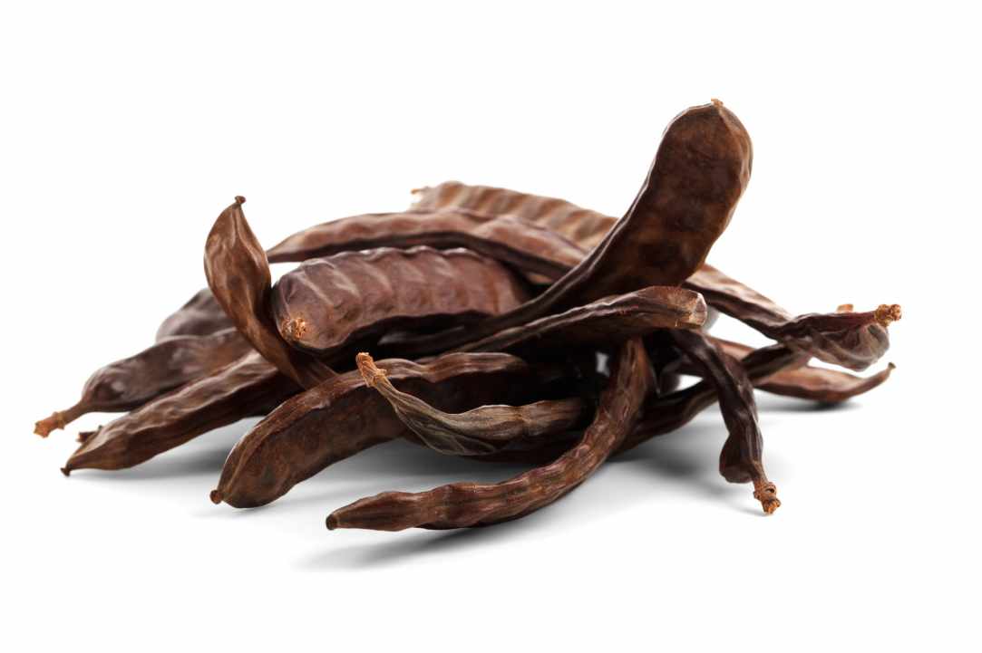7th Annual Carob Festival in Pegeia