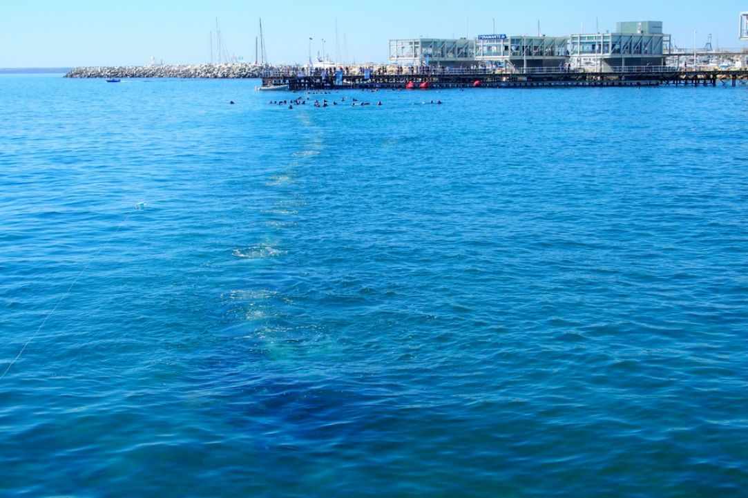 Guiness World Record in Limassol