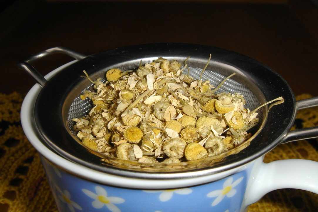 Chamomile. Learning about herbs.