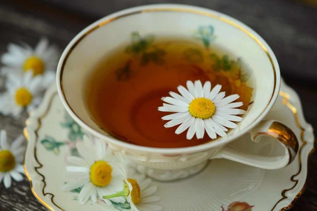 Chamomile. Learning about herbs.