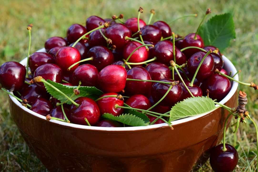 Φεστιβάλ Κερασιού...Μήνα Ιούνιο