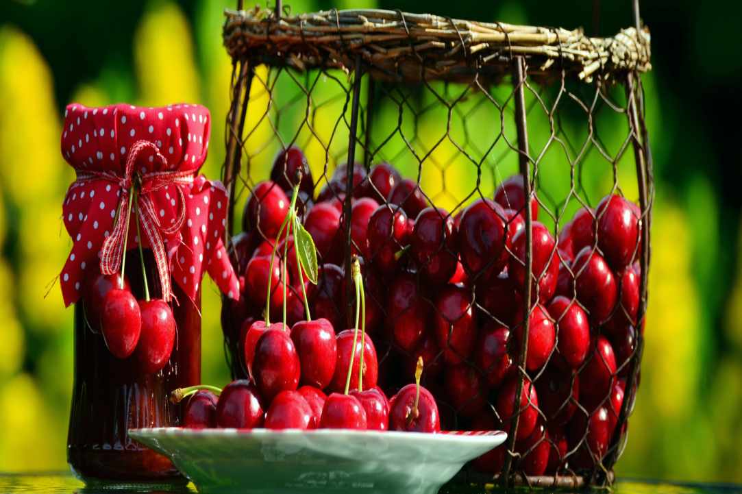 39th Cherry Fest!