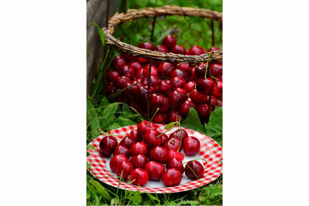 39th Cherry Fest!