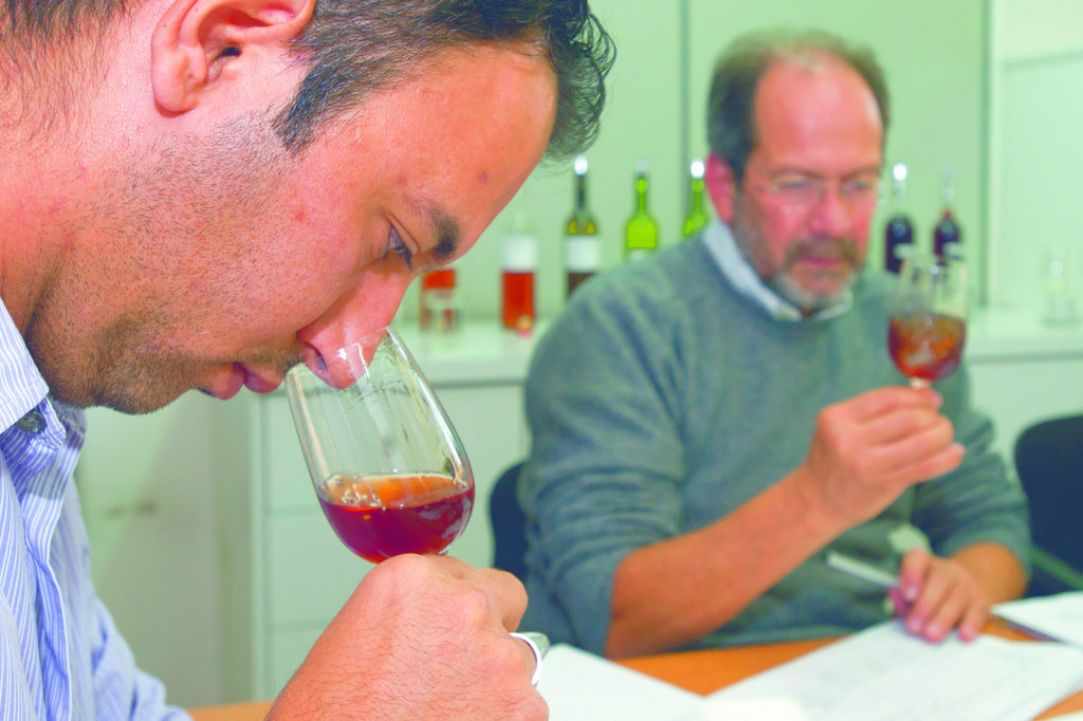 For the Love of Wine