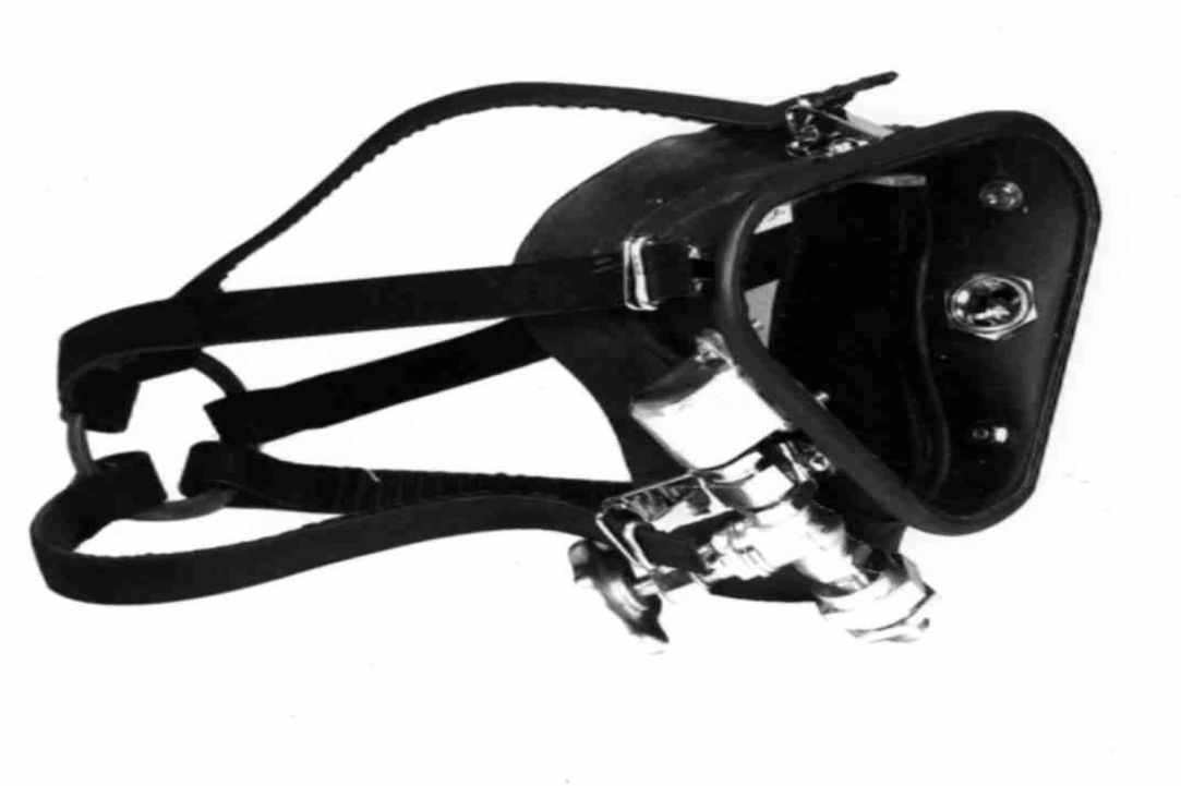 The Equipment Of The Scuba Diver