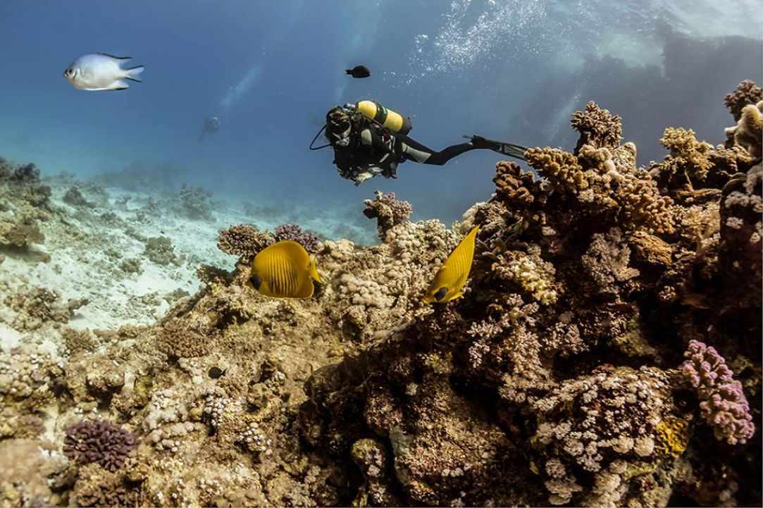 How dangerous scuba diving Is?