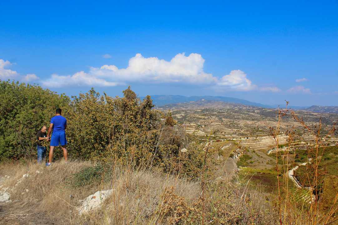 Η Μοσφιλιά ή αλλιώς Κράταιγος ο Αζαρόλος