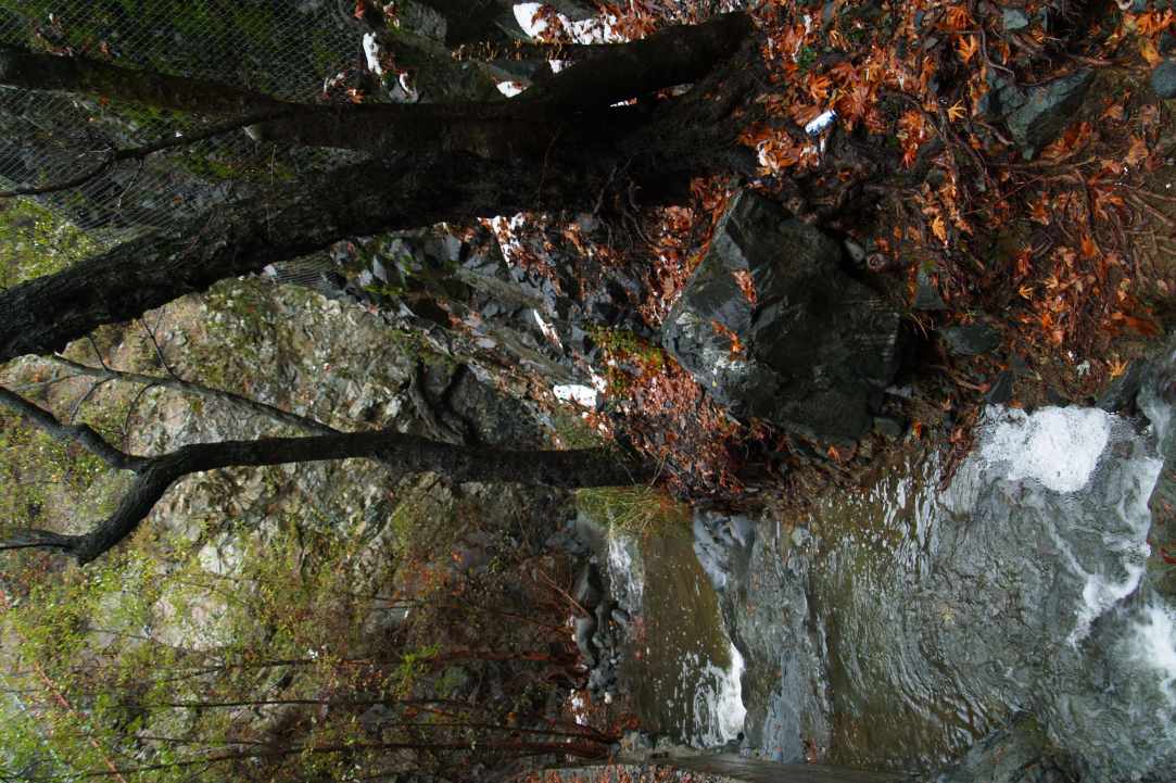  Walking Festival: 4th March - 13th May 2018