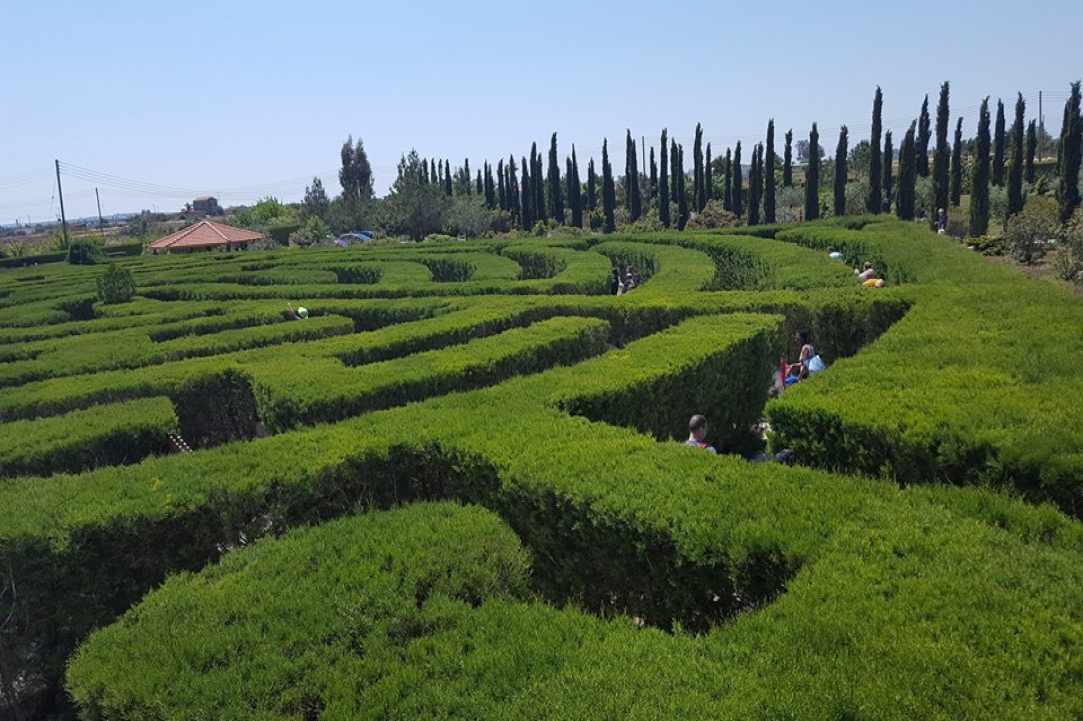 Lavender Festival