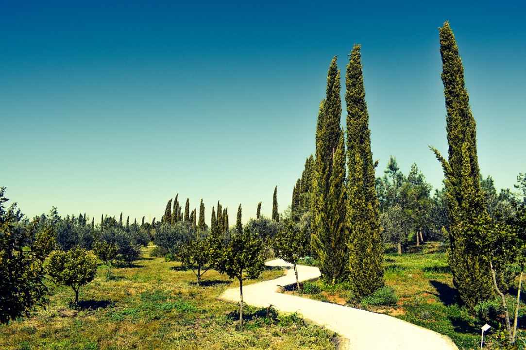 Where does the name "Cyprus" come from