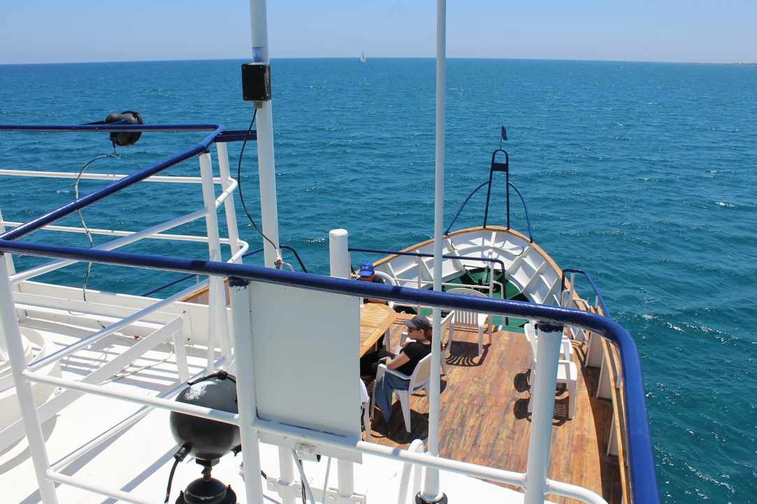 Πρώτο πάρτυ γενεθλίων της Cyprus Alive