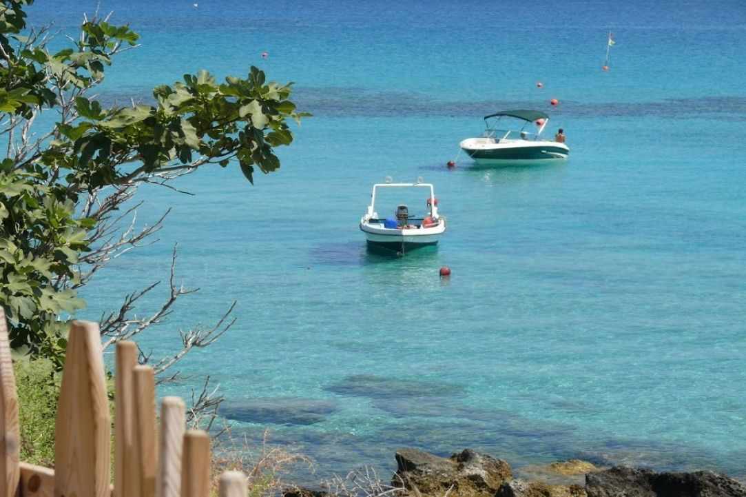  5 Top Cyprus