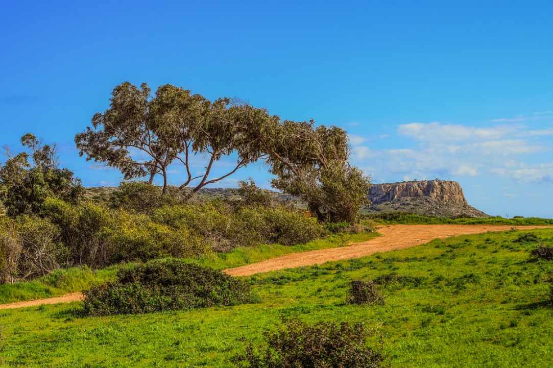  Walking Festival: 4th March - 13th May 2018