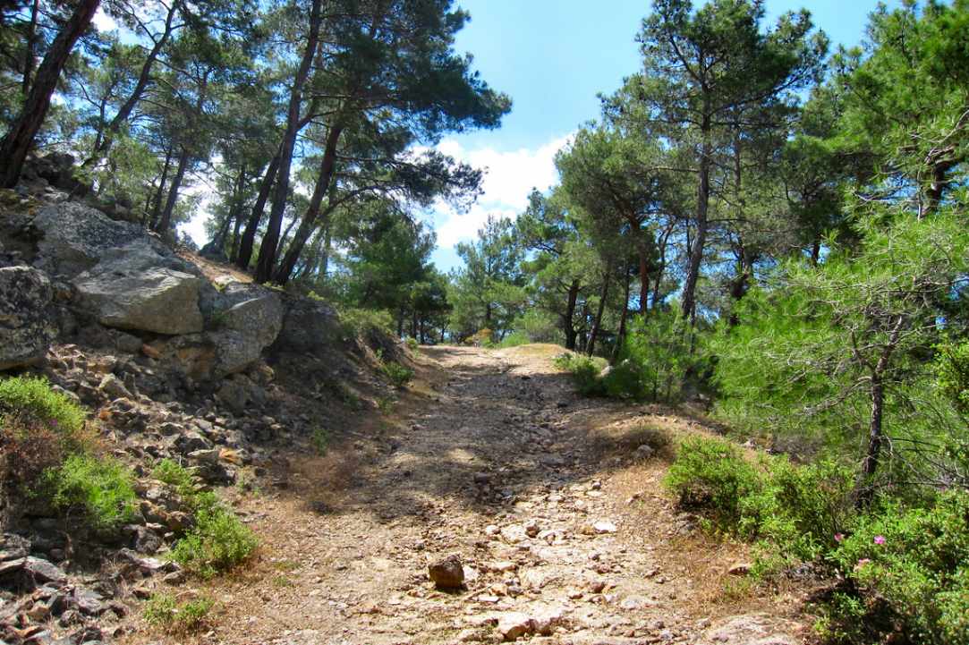  Walking Festival: 4th March - 13th May 2018