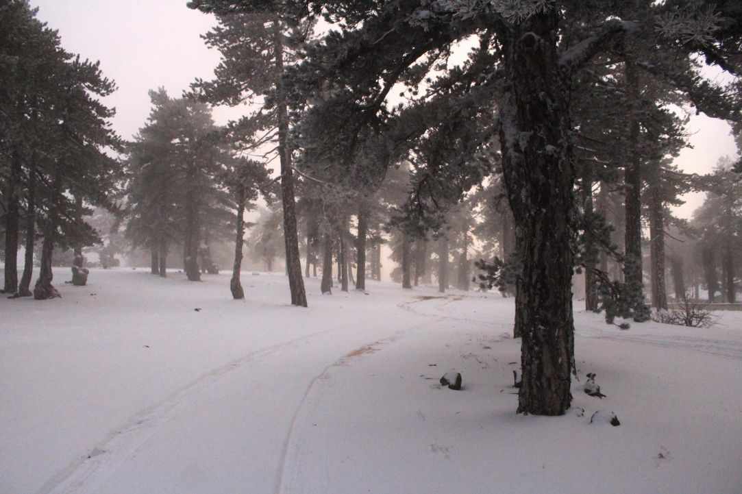 Snowy Mountains of Troodos