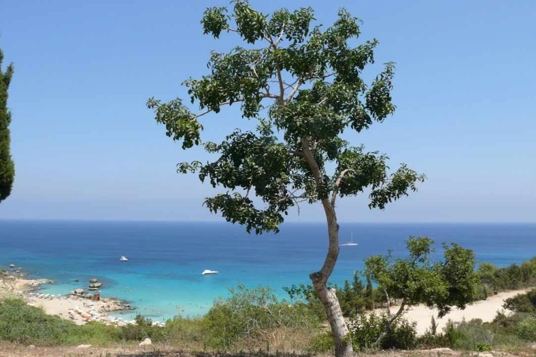  5 Top Cyprus