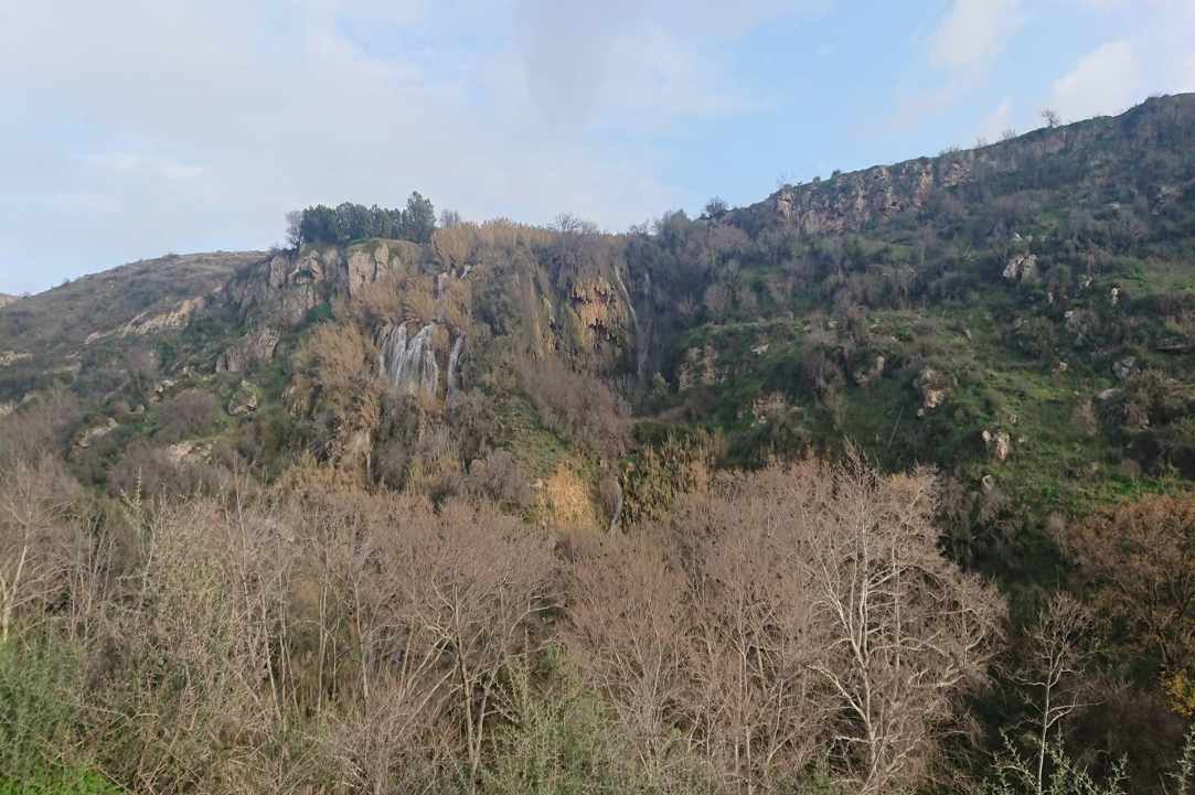 Το δάσος είναι ζωή…