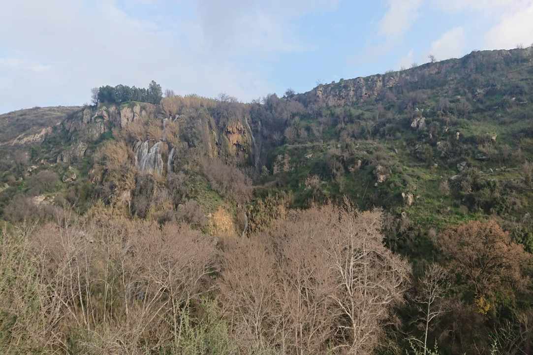 Το δάσος είναι ζωή… gallery image 4