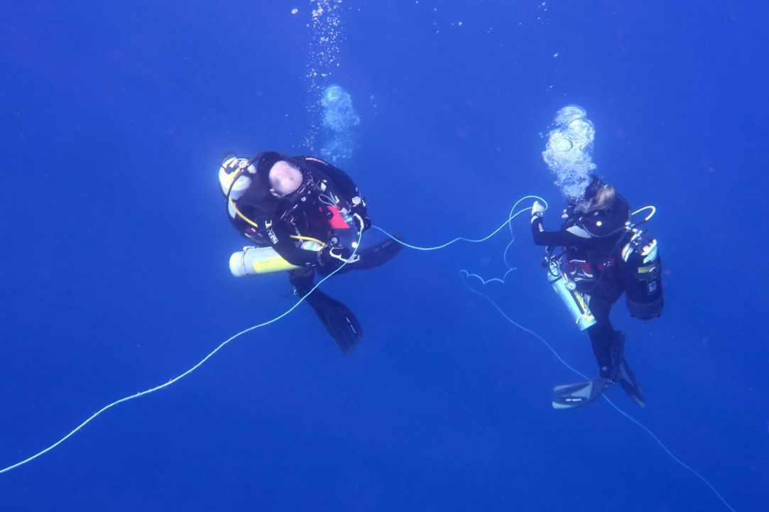 Fun Dive