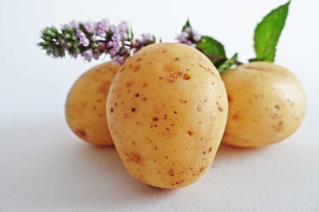 Xylophagou International Potato Festival 2019
