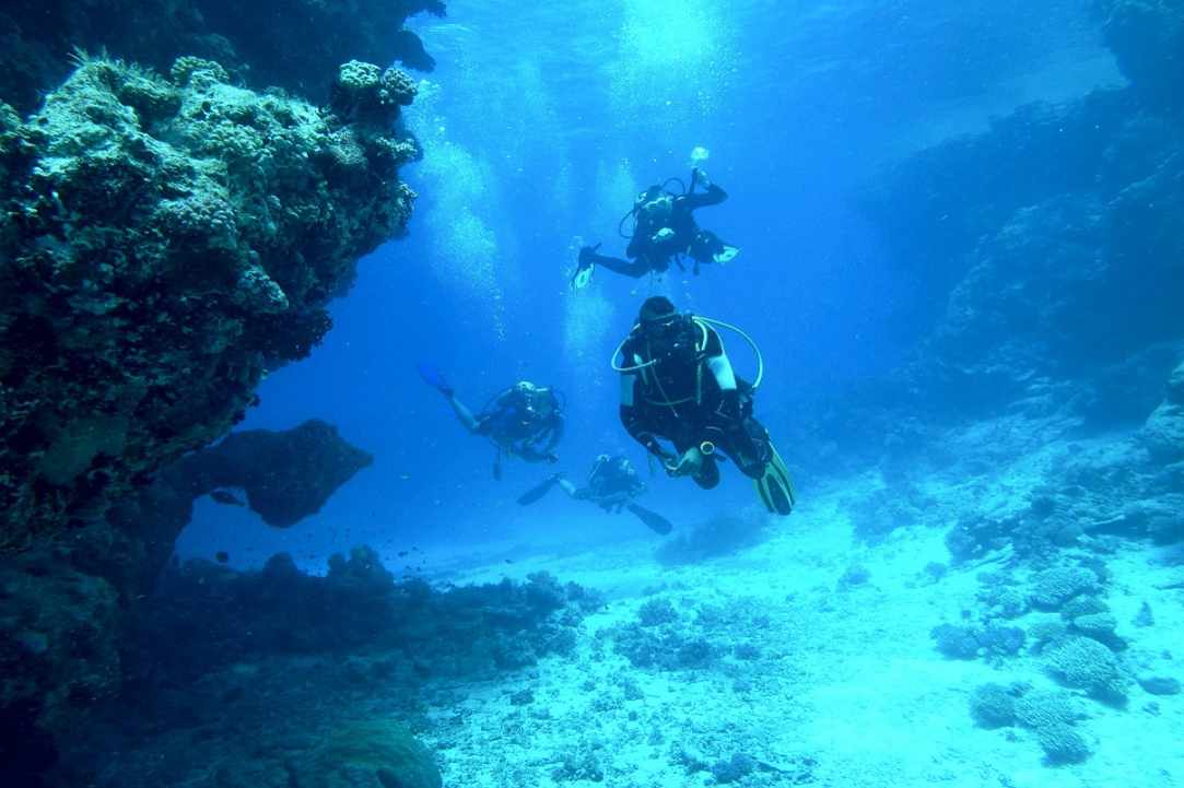 Ελεύθερη κατάδυση με πολλά μετάλλια… 