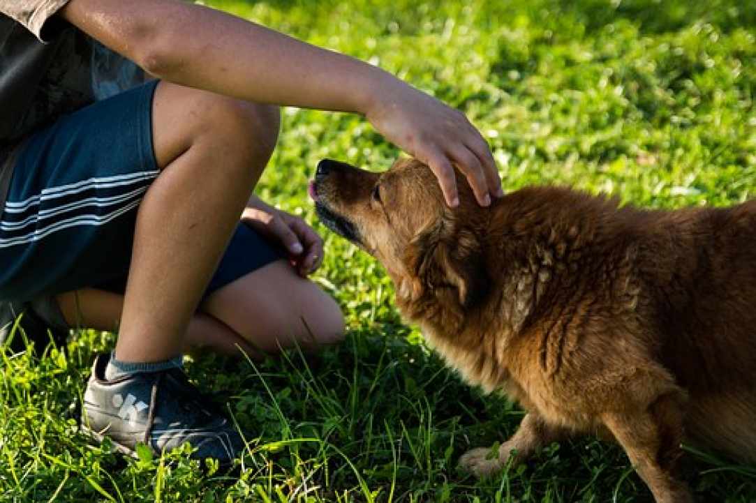 4th Cyprus protest for all animals