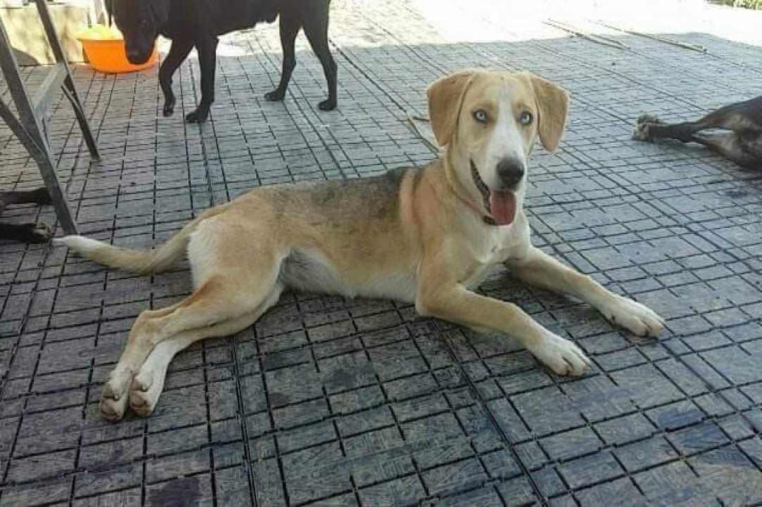 3η φιλανθρωπική δράση της Συλλογικής Ομάδας Κυπρίων Συγγραφέων