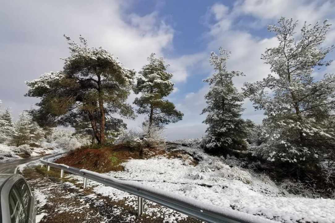Μαγευτικές εικόνες: Χιονισμένο τοπίο στον Μαχαιρά - ΦΩΤΟΓΡΑΦΙΕΣ και ΒΙΝΤΕΟ έξω από το Λυθροδόντα