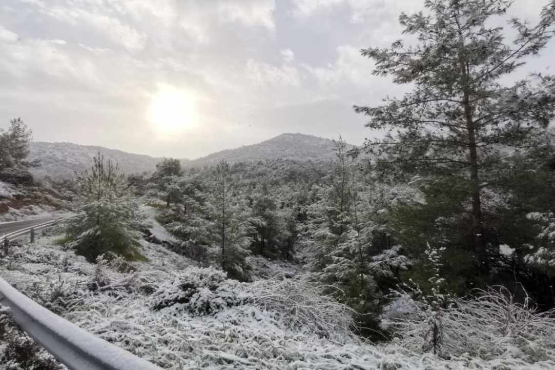 Μαγευτικές εικόνες: Χιονισμένο τοπίο στον Μαχαιρά - ΦΩΤΟΓΡΑΦΙΕΣ και ΒΙΝΤΕΟ έξω από το Λυθροδόντα