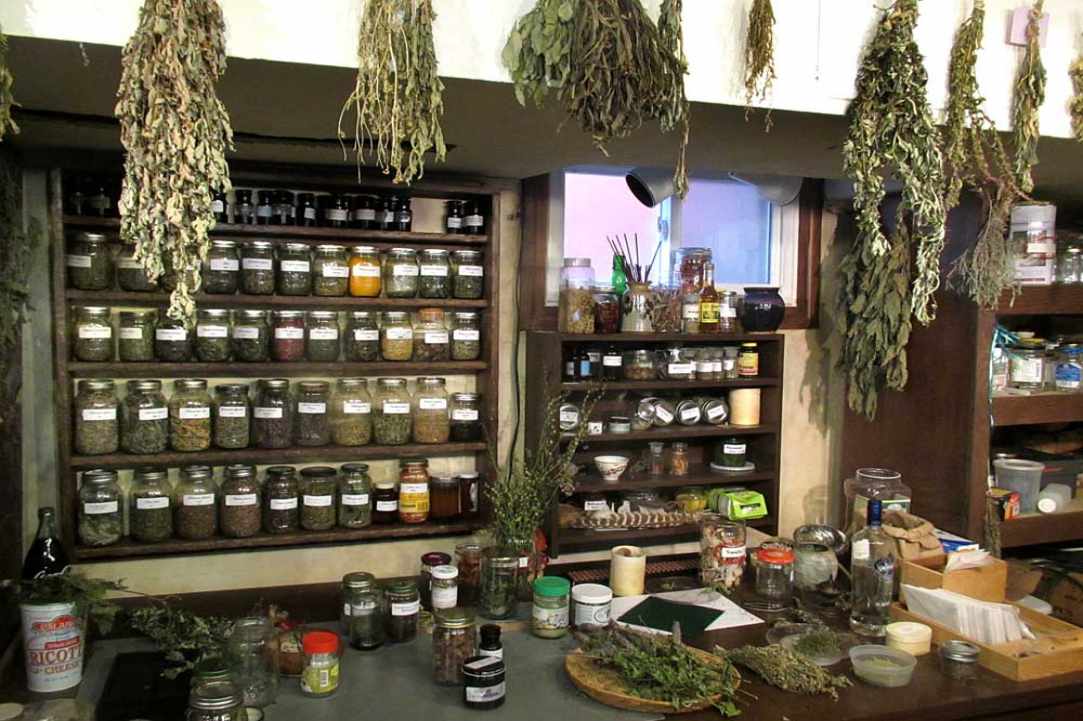 Herbs and Spices of Cyprus - more than 600 different types exist in Cyprus