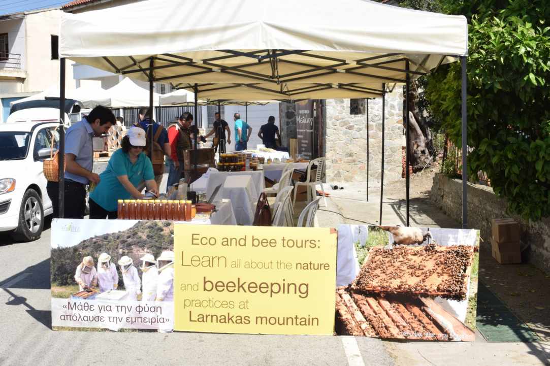 World Bee Day 20th May 2019
