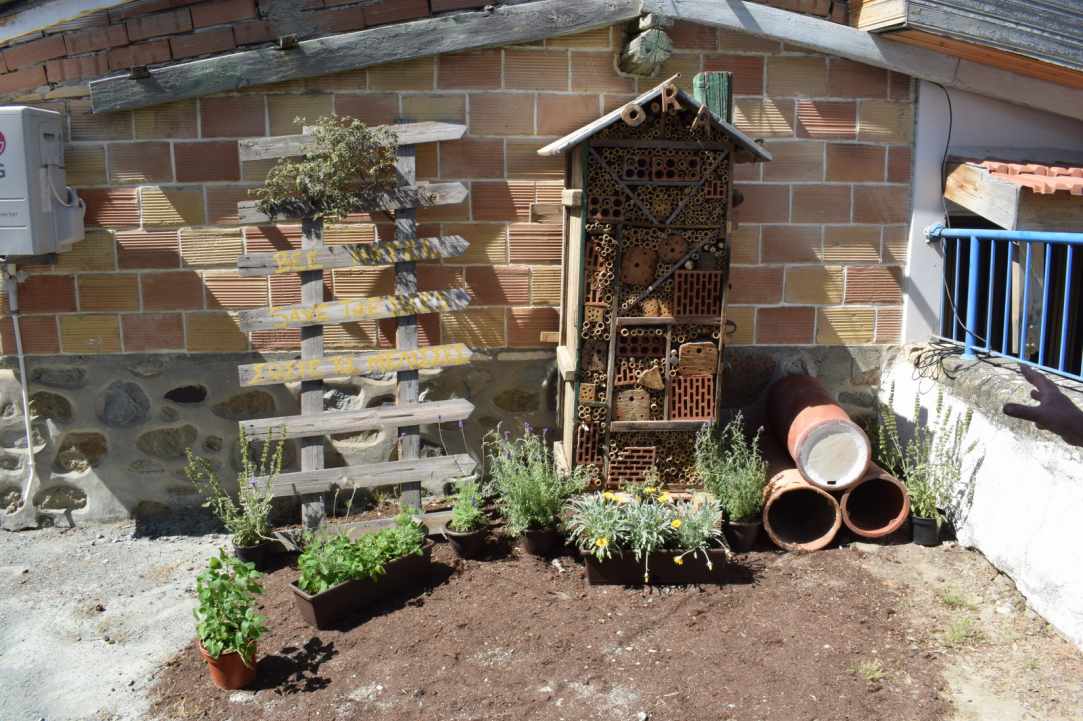 World Bee Day 20th May 2019