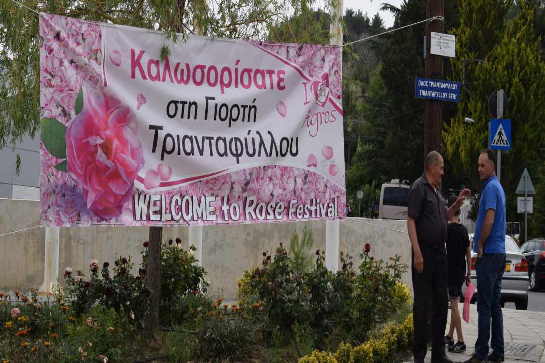 Agros Rose Festival 2019