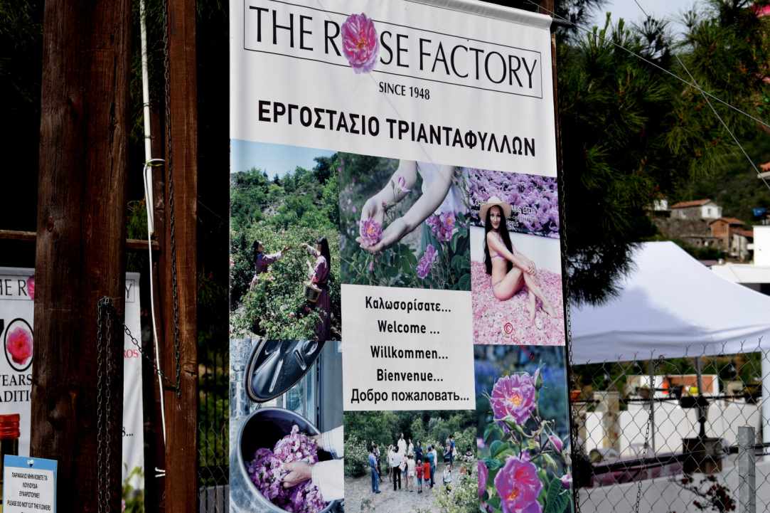 Agros Rose Festival 2019