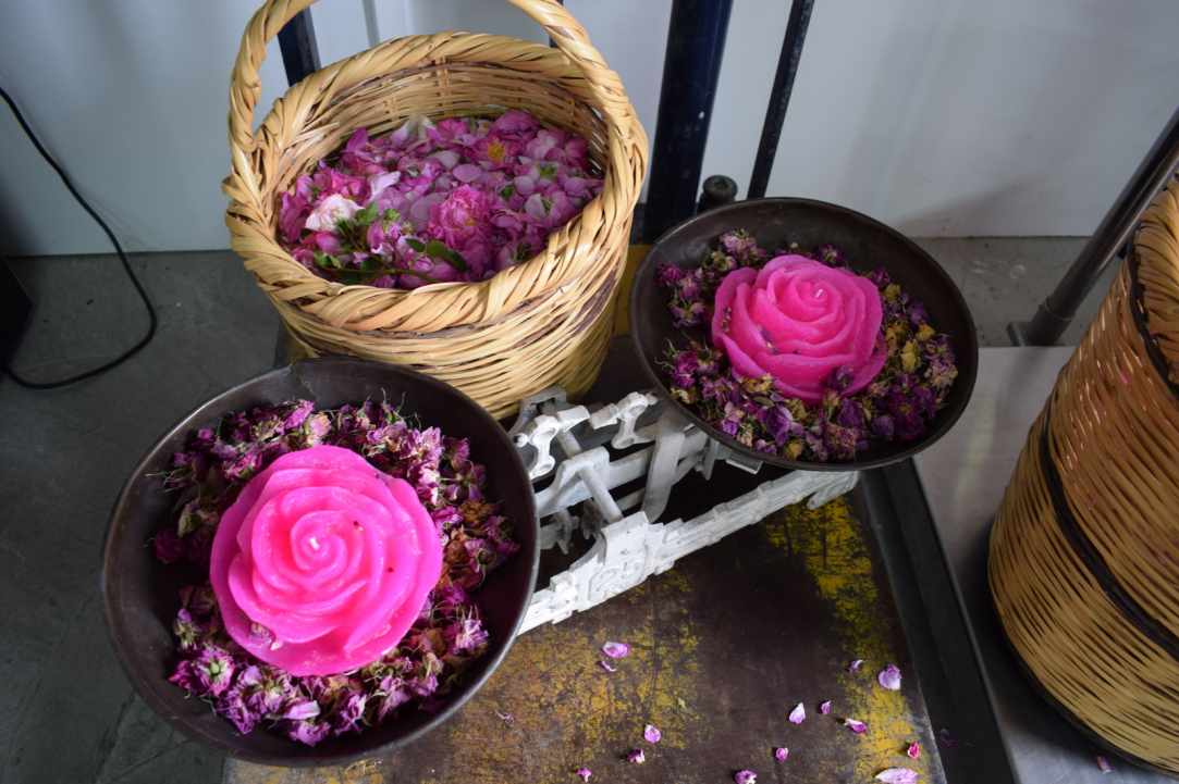 Agros Rose Festival 2019