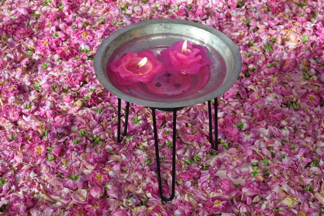 Agros Rose Festival 2019