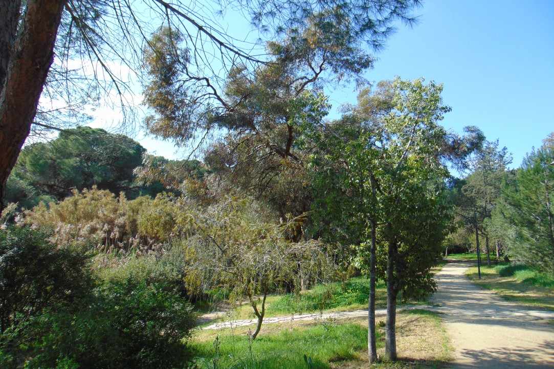 Athalassa Park