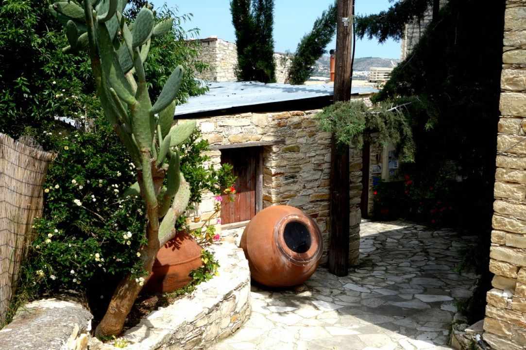 Go on a Wine Tour