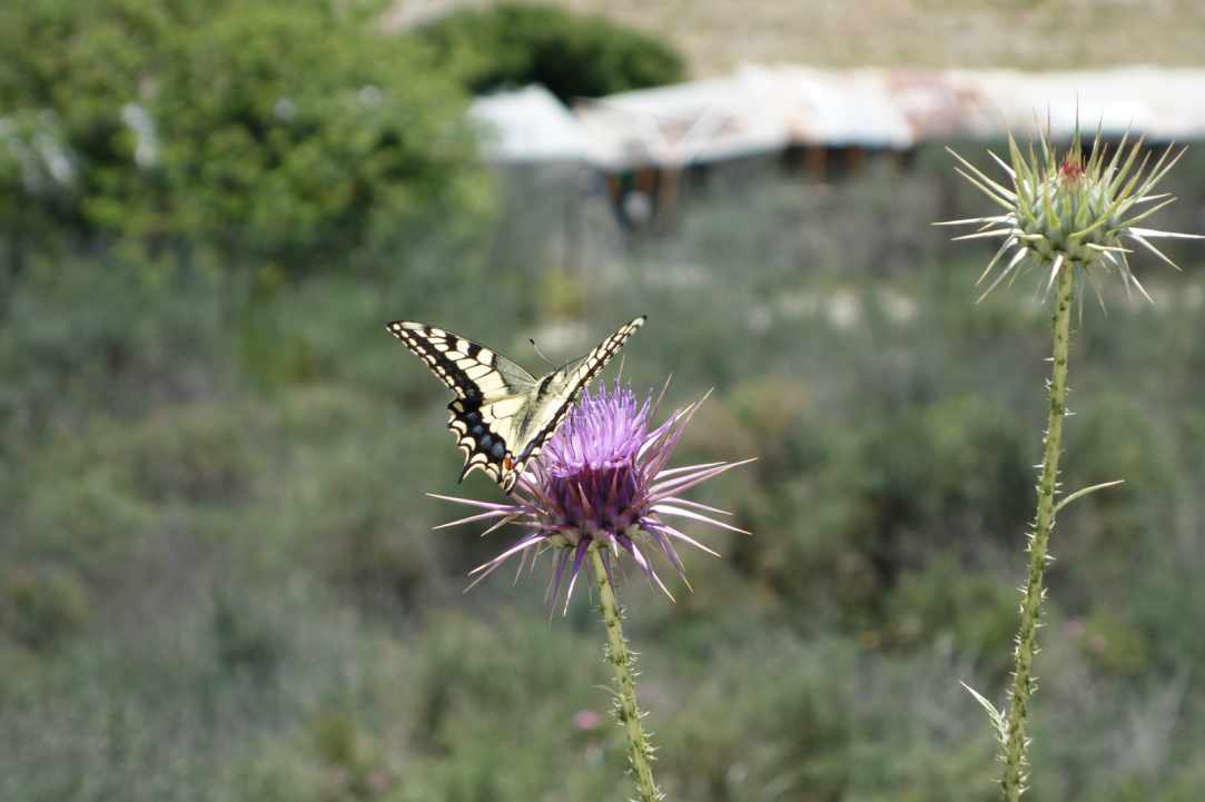 More than a Wine-Tour, a chance to be shown some of the stunning scenery of Cyprus